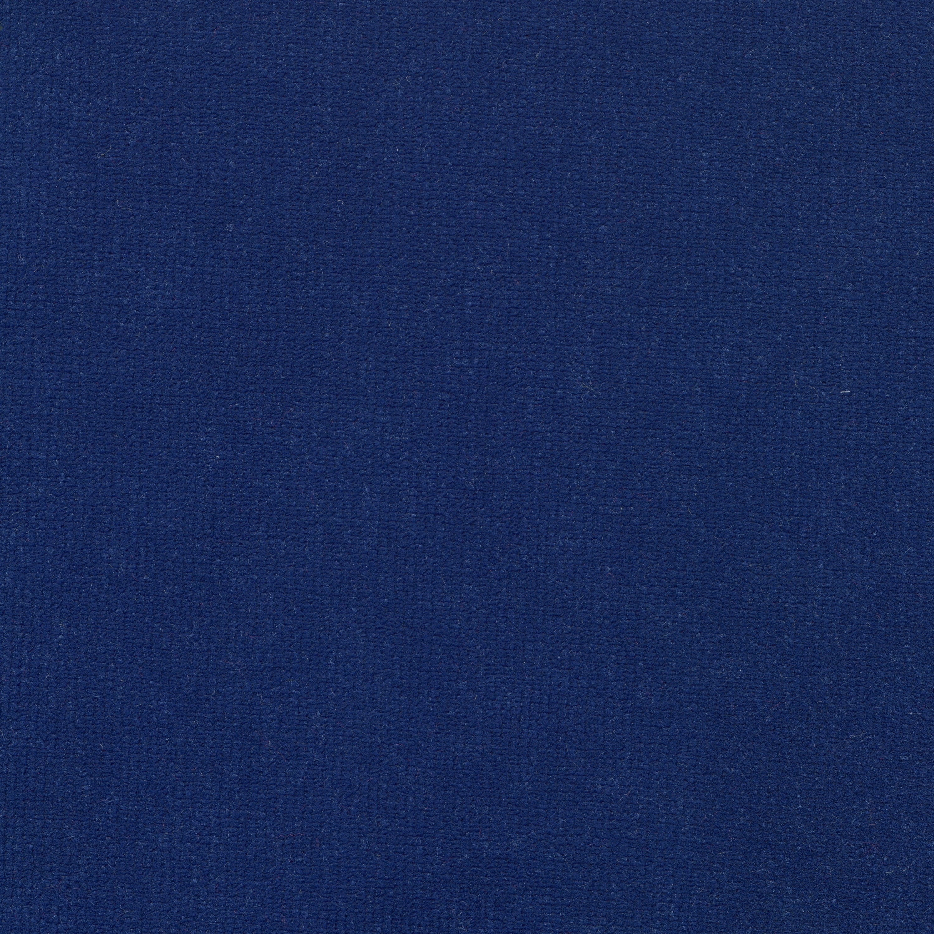 Epic Velour 25 oz. - Cornflower image