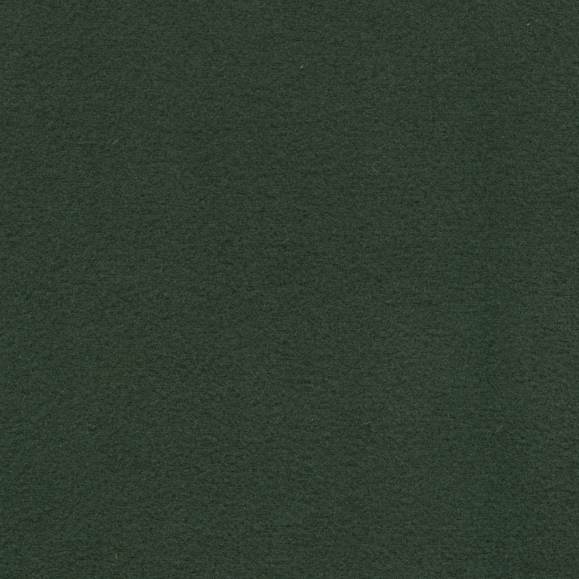 Prism Velour - Hunter image