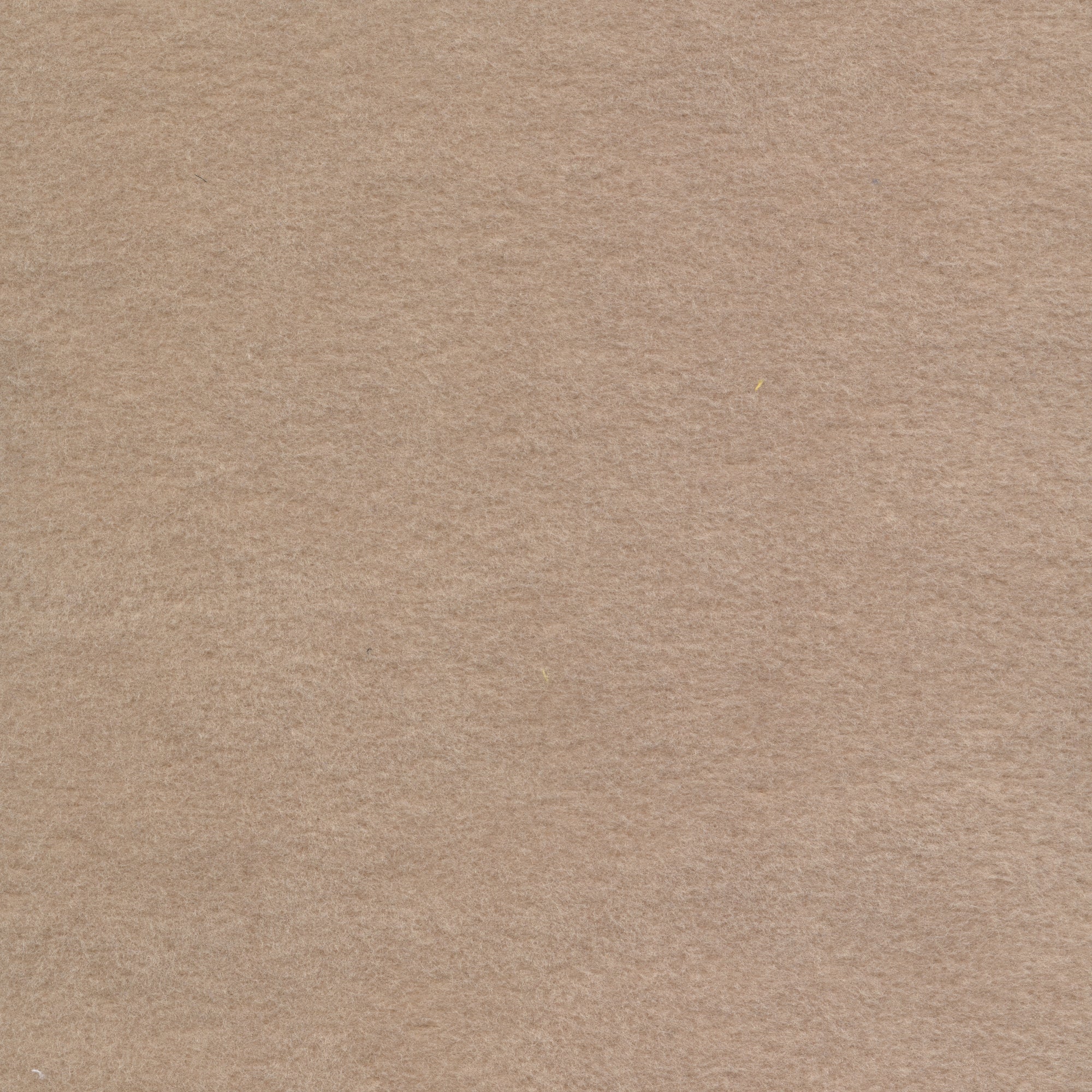 Prism Velour - Beige image