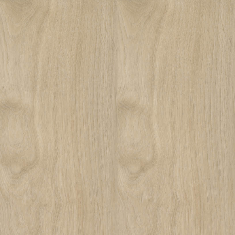 Branching Out 5.0 Mm