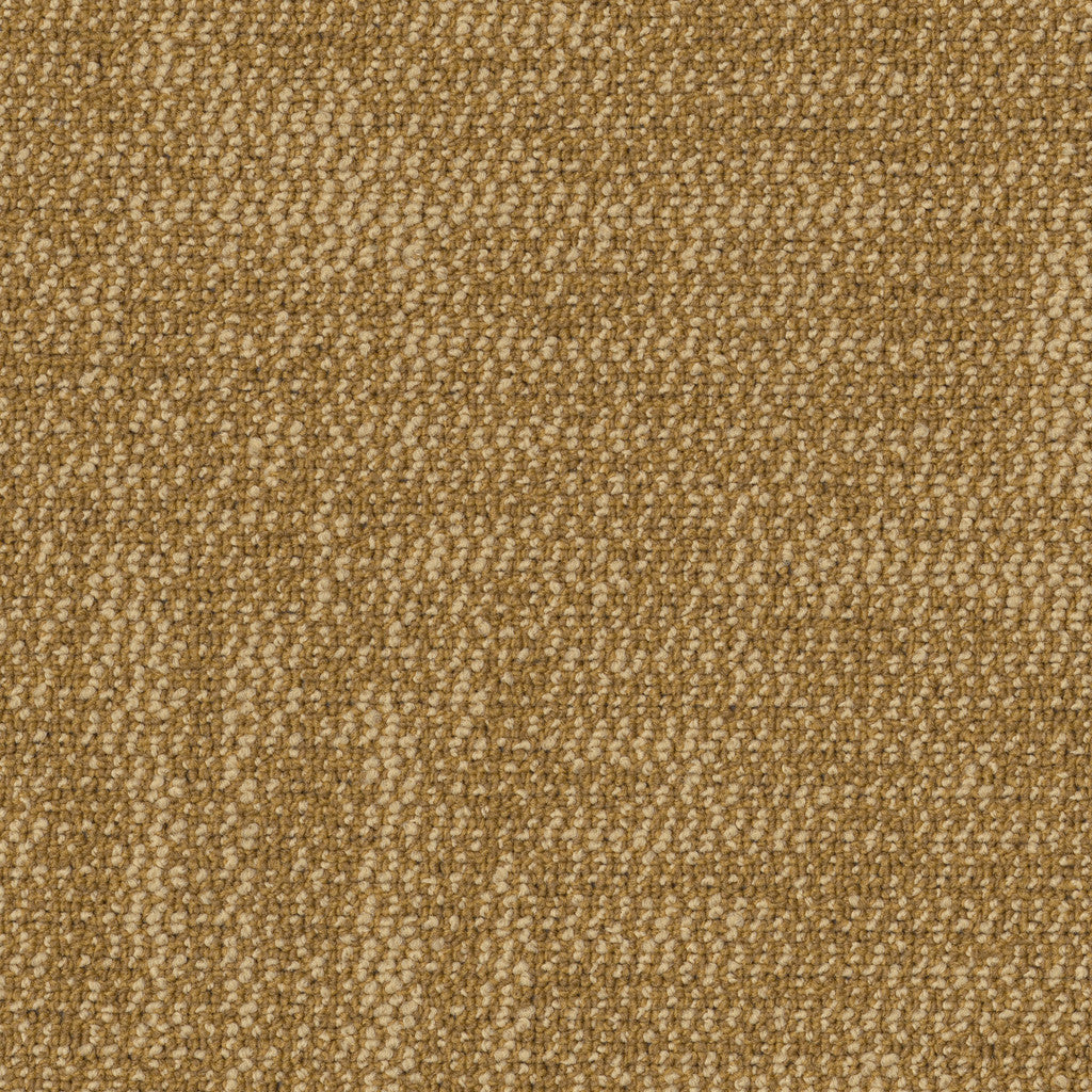 Grounded Accent 24X24 Tile